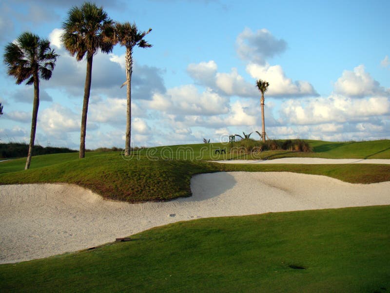 Palm Beach Par 3 Golf Course Scenery, Florida Stock Photo Image of Palm Beach Par 3 Golf Course Scenery, Florida Stock Photo Image of
