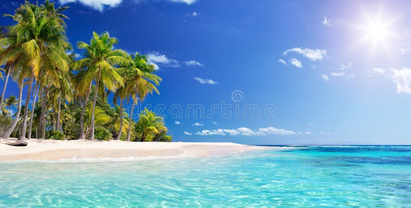 Palm Beach W Tropikalnym raju