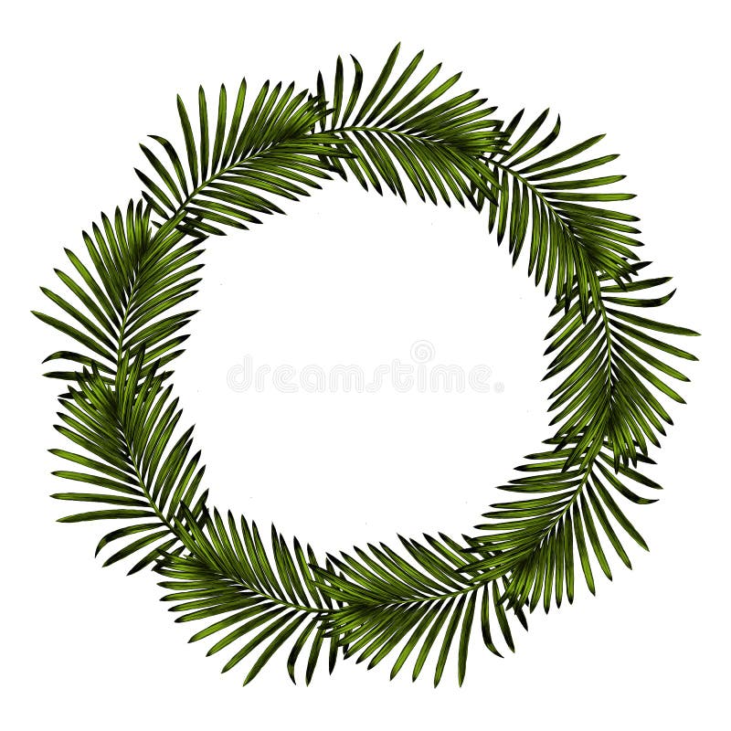 Branch of a palm tree sketch vector graphics stock vector