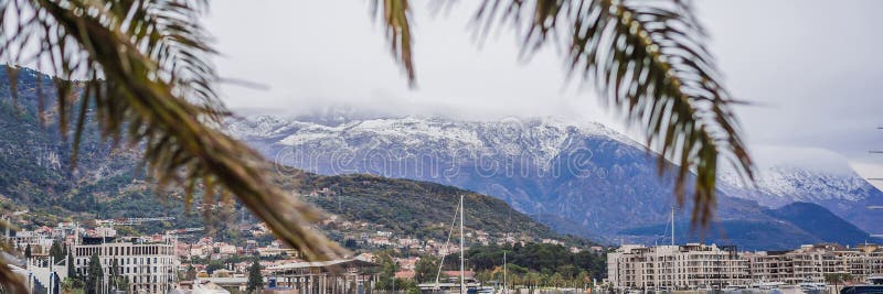 Palm branches against the backdrop of a snow-capped mountain in Montenegro BANNER, LONG FORMAT royalty free stock photos