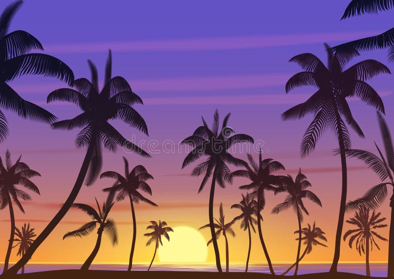 Palm Coconut Trees Silhouette At Sunset Or Sunrise Realistic Banner