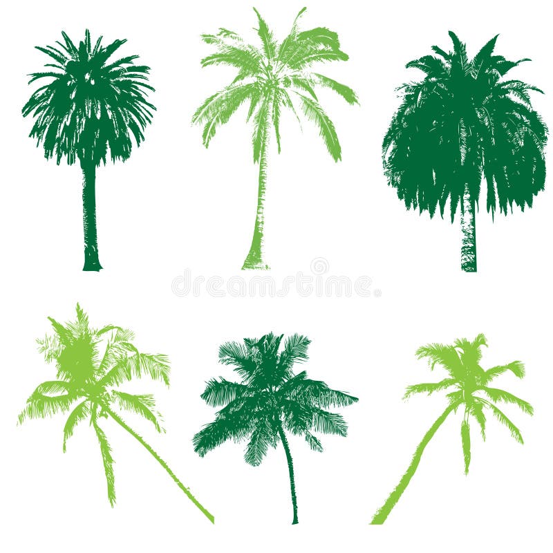 Palm collection for your design