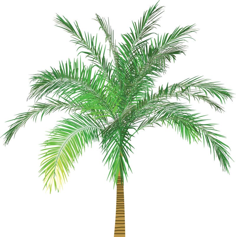 Palm tree silhouette 2 stock vector. Illustration of vector - 2522608