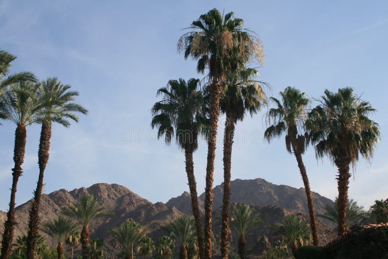 Palm Desert mountains