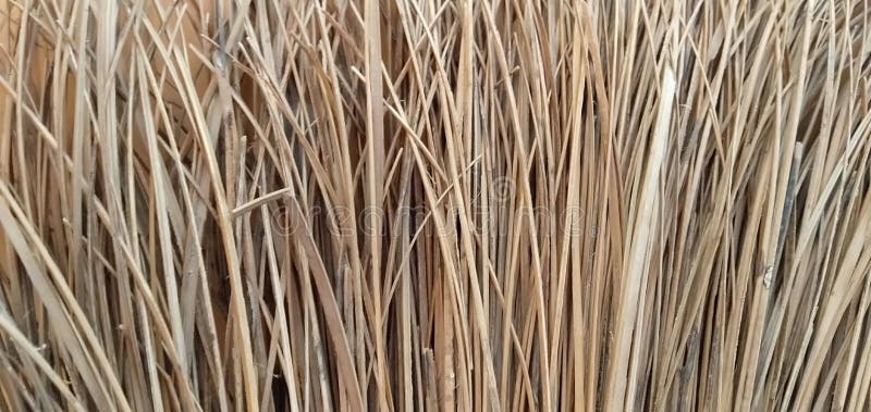 Palm fiber broom stock image. Image of fiber, produce - 204349147