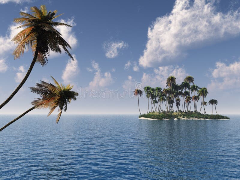 Palm Island Picture. Image 2543144