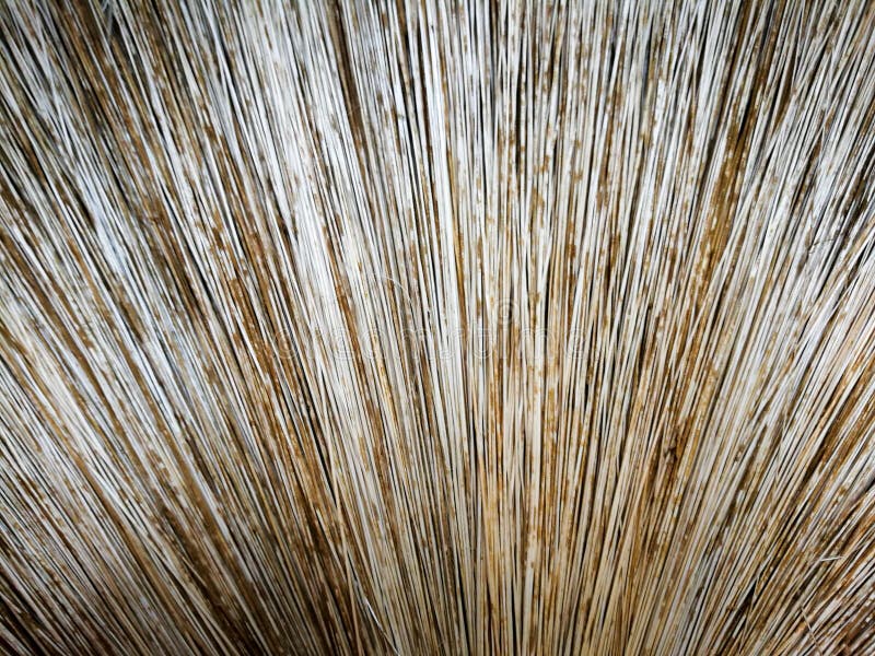 Palm leaf broom close up stock photo. Image of background - 89695600