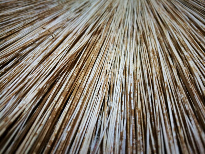 Palm leaf broom close up stock photo. Image of yellow - 89695746