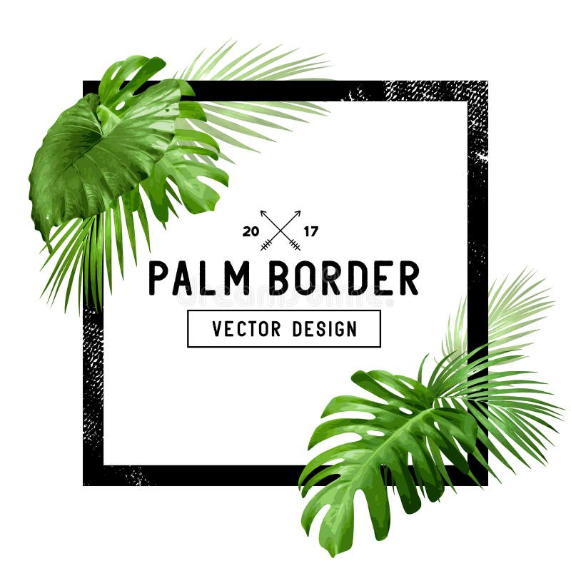 Download Palm Leaf Frame stock vector. Illustration of leaf ...