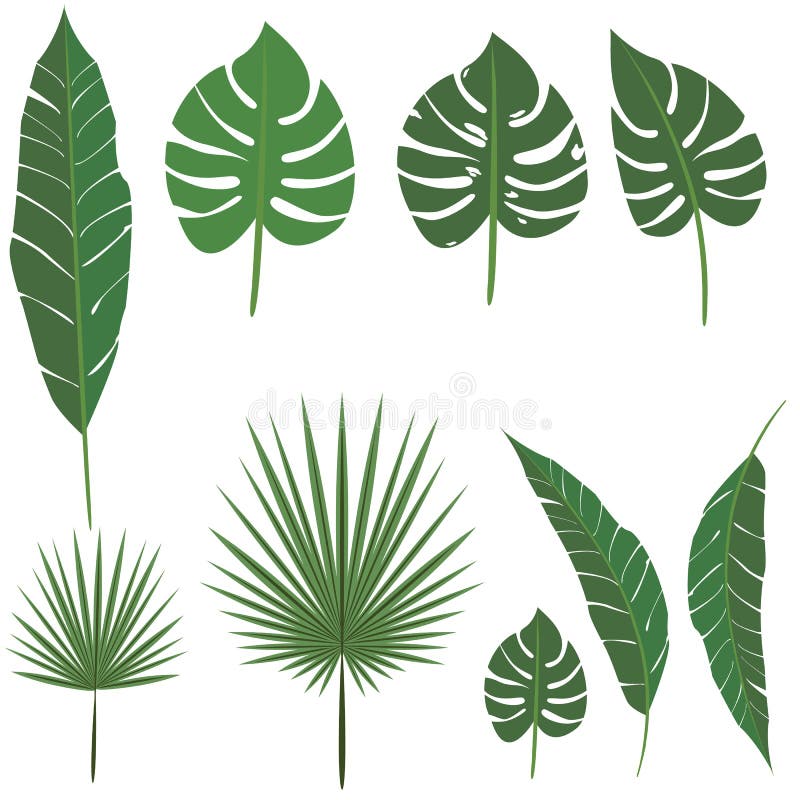 Palm leafs diy set for decoration