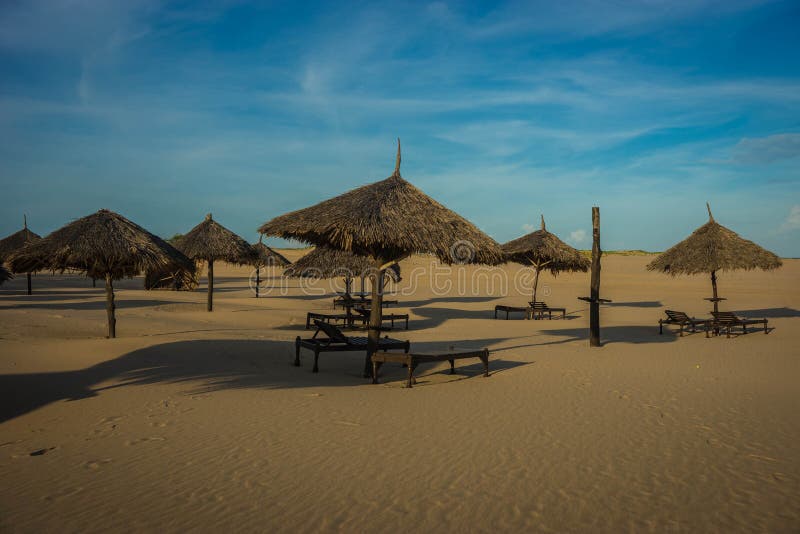Palm Leaf Parasols on Beach in Malindi in Eastern Kenya Stock Image