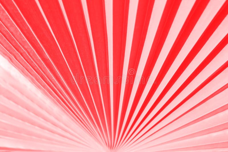 Palm leaf texture toned in Living Coral color. royalty free stock photos Palm leaf texture toned in Living Coral color. royalty free stock photos