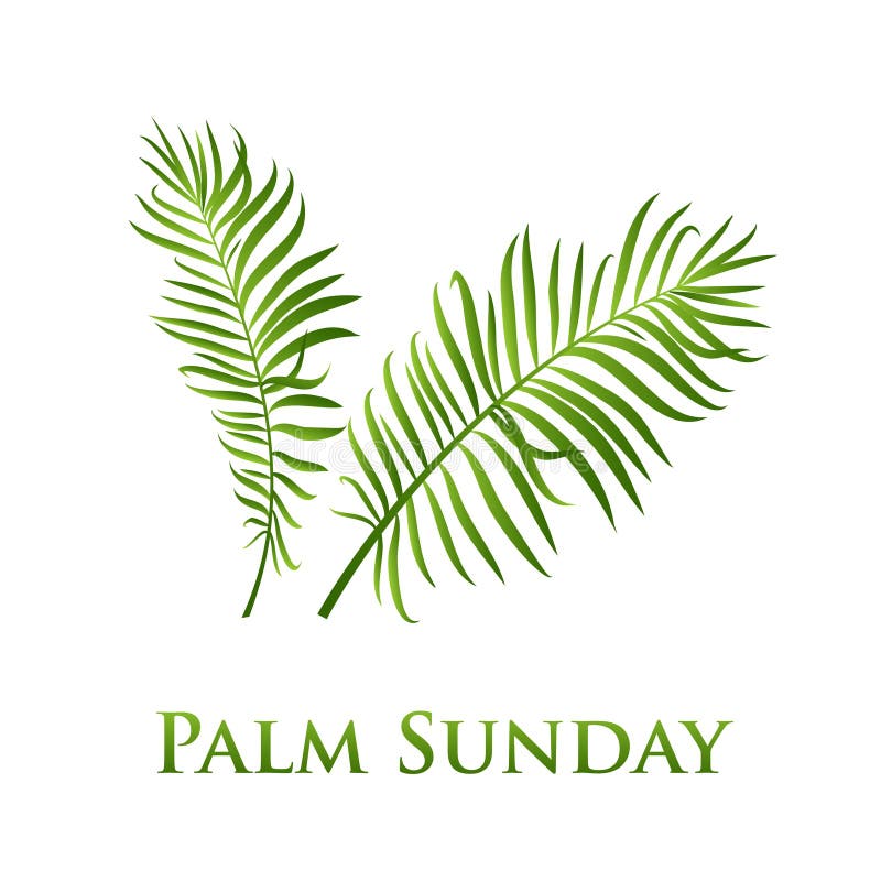 Palm leafs icon. Vector illustration for the Christian holiday Palm Sunday.