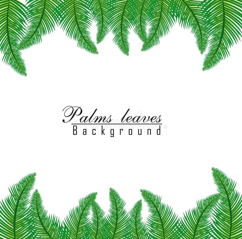 Palm leaves