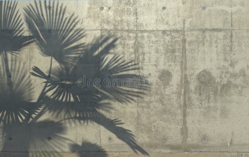 Palm leaves cast a shadow on the concrete wall. Conceptual creative illustration with copy space. Concrete jungle. 3D rendering. royalty free illustration Palm leaves cast a shadow on the concrete wall. Conceptual creative illustration with copy space. Concrete jungle. 3D rendering. royalty free illustration