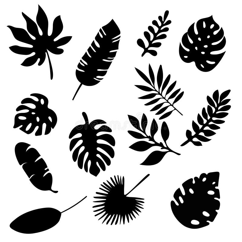 Palm leaves silhouettes set isolated on white background. Tropical leaf silhouette elements set isolated. Palm, fan palm