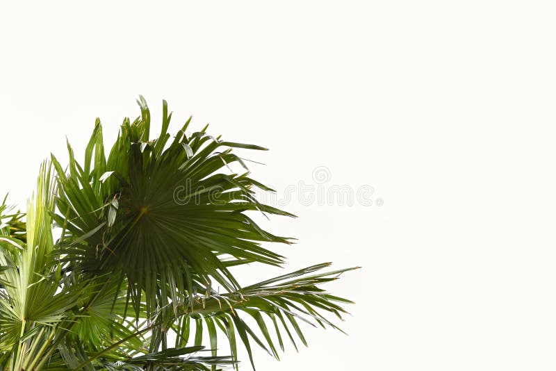 751 766 Horizontal Summer Photos Free Royalty Free Stock Photos From Dreamstime 751 766 Horizontal Summer Photos Free Royalty Free Stock Photos From Dreamstime