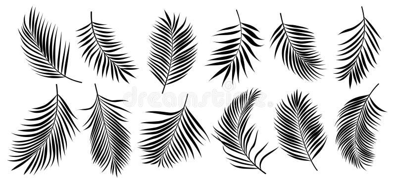 Palm lämnar silhuette-Clipart set. Ikonelement för svartlistade lökklipp, handflata och kokosnöt, i vit bakgrund stock illustrationer