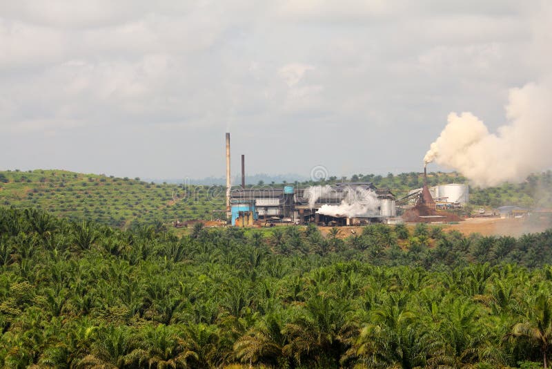 Palm Oil Mill Effluent (POME) Wastewater Being Discharged Series 3