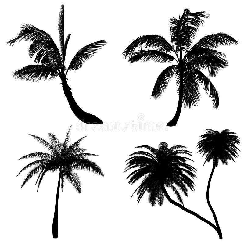 Pine silhouette stock illustration. Illustration of black - 36409016