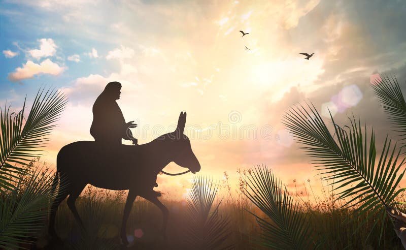 Jesus Christ riding donkey on meadow sunset
