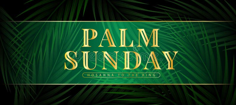 Palm sunday Gold text on abstract dark green palm leaves texture background vector design royalty free illustration