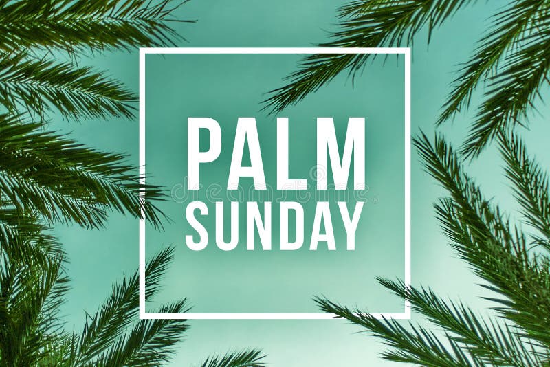 Palm Sunday Stock Illustrations – 2,040 Palm Sunday Stock Illustrations ...