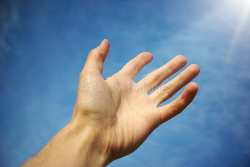 Palm to sky royalty free stock image