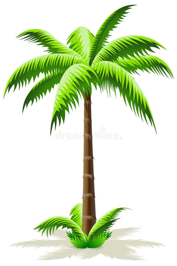Palm Tree stock illustration