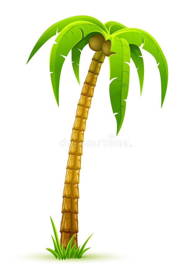 Palm tree vector illustration