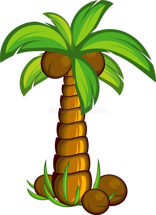 Palm tree royalty free illustration
