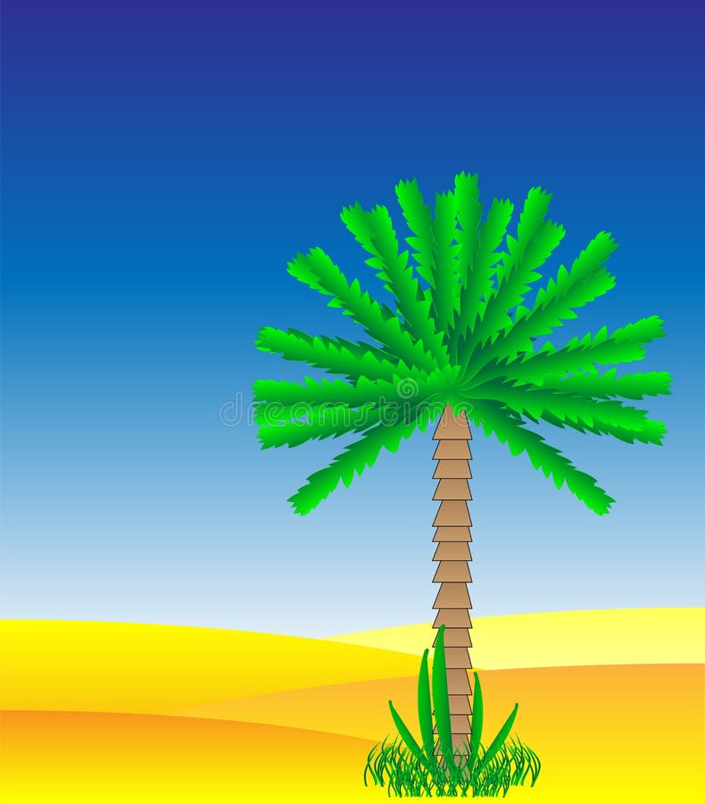 Palm tree vector illustration
