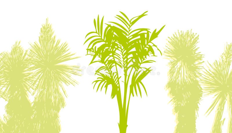 Palm tree