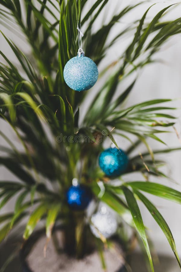 Palm tree with Christmas baubles as decoration for the festive season happening in summer for the Southern Hemisphere