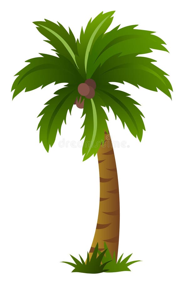 Palm tree isolated on white background stock illustration