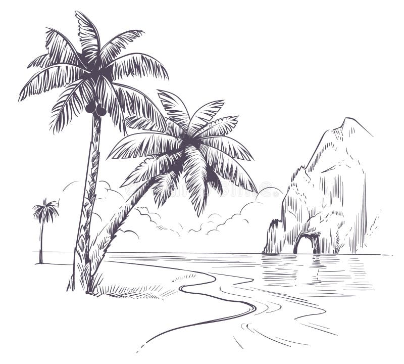 Palm tree landscape. Sketch tropical palms ocean coast, exotic island hawaii natura summer vacation poster hand drawn