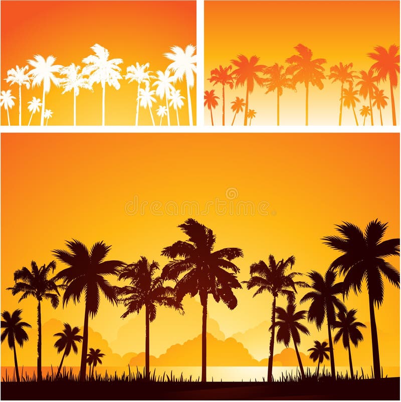 Palm tree landscape at sunset stock illustration