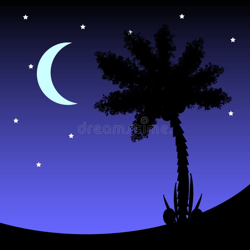 Palm tree at night. vector illustration