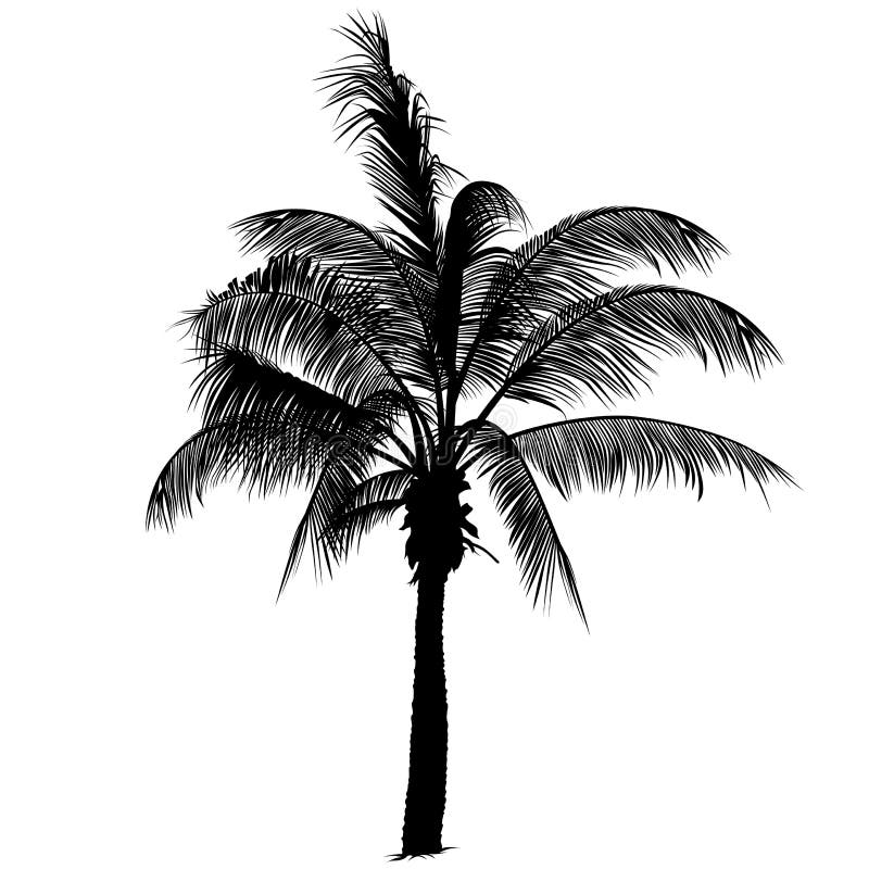Palm tree silhouette 2 stock illustration