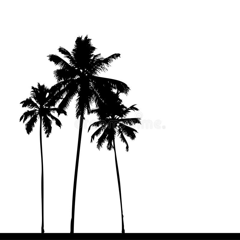 Palma strom silueta černý, vektor ilustrace.