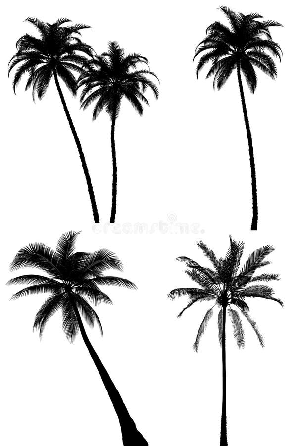 Palm tree silhouette set on white royalty free illustration