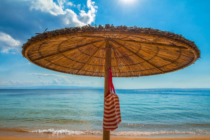 Palm Tree Umbrella with Bag Stock Photo Image of plant, beaches 35226070