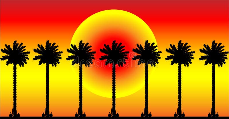 Palm trees vector illustration