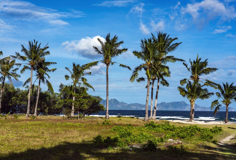 Banana Island in Palawan, Philippines Stock Photo Image of island