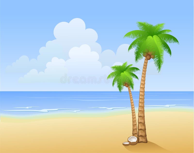 Palm trees on a beach