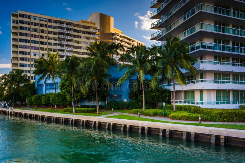 Palm Trees and Buildings on Belle Isle, in Miami Beach, Florida. Stock