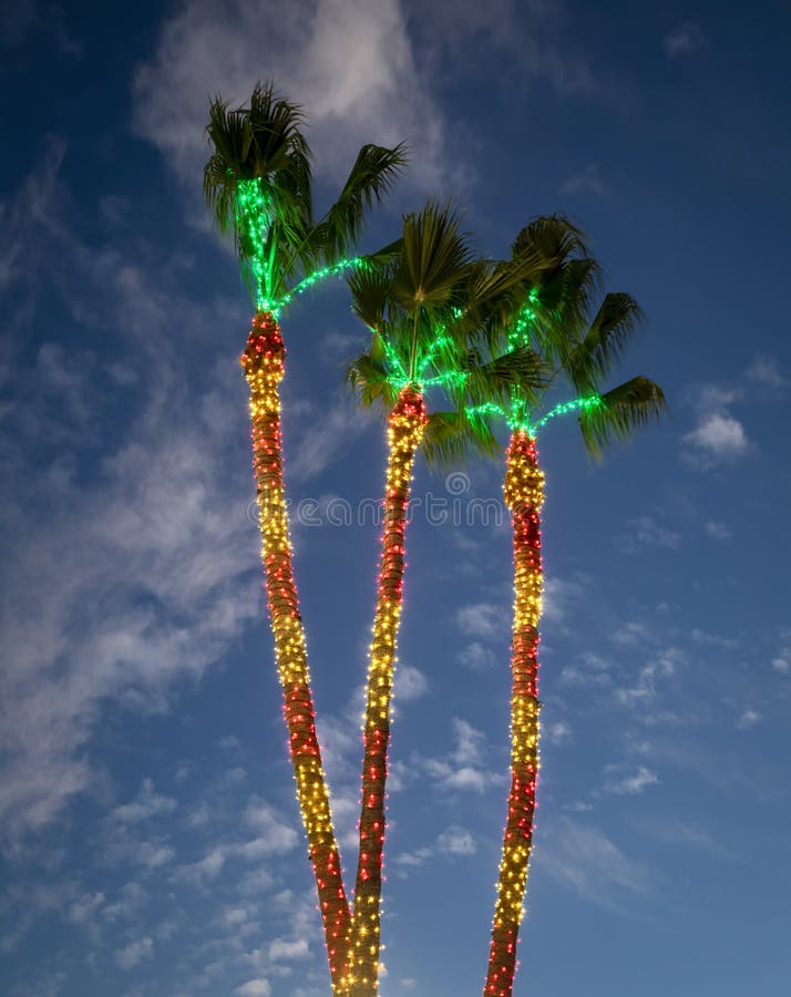 Palm Trees Decorated With Christmas Lights Against A Blue Cloudy Sky