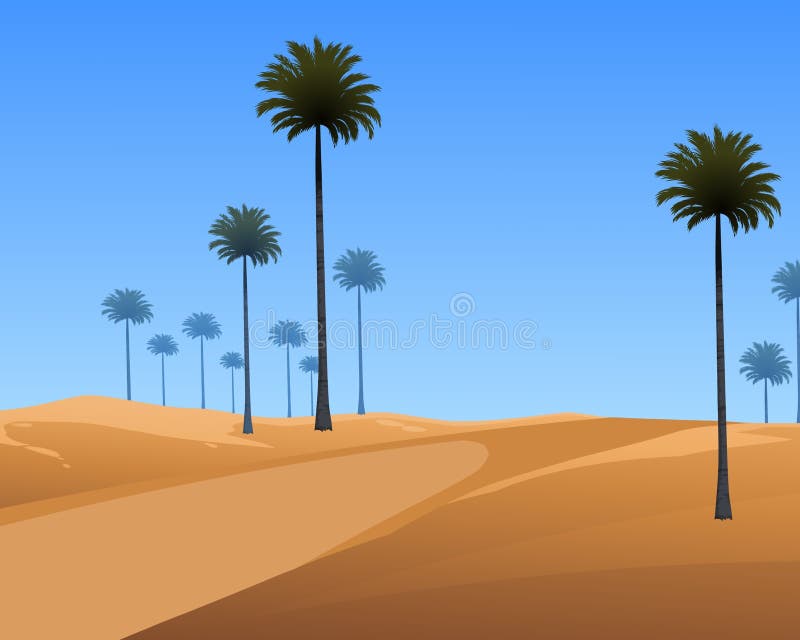 Palm trees in desert