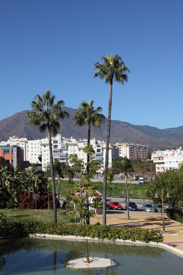 Palm trees in Estepona, Spain