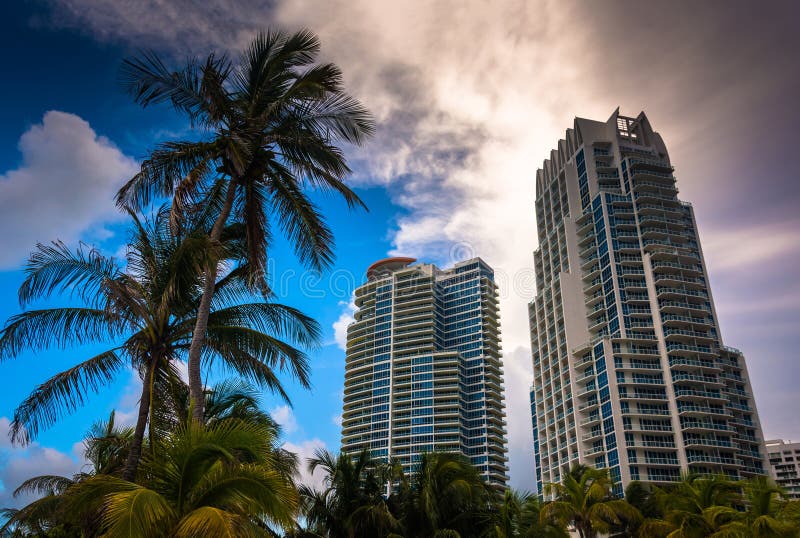 Palm trees and highrises at South Beach, Miami, Florida.